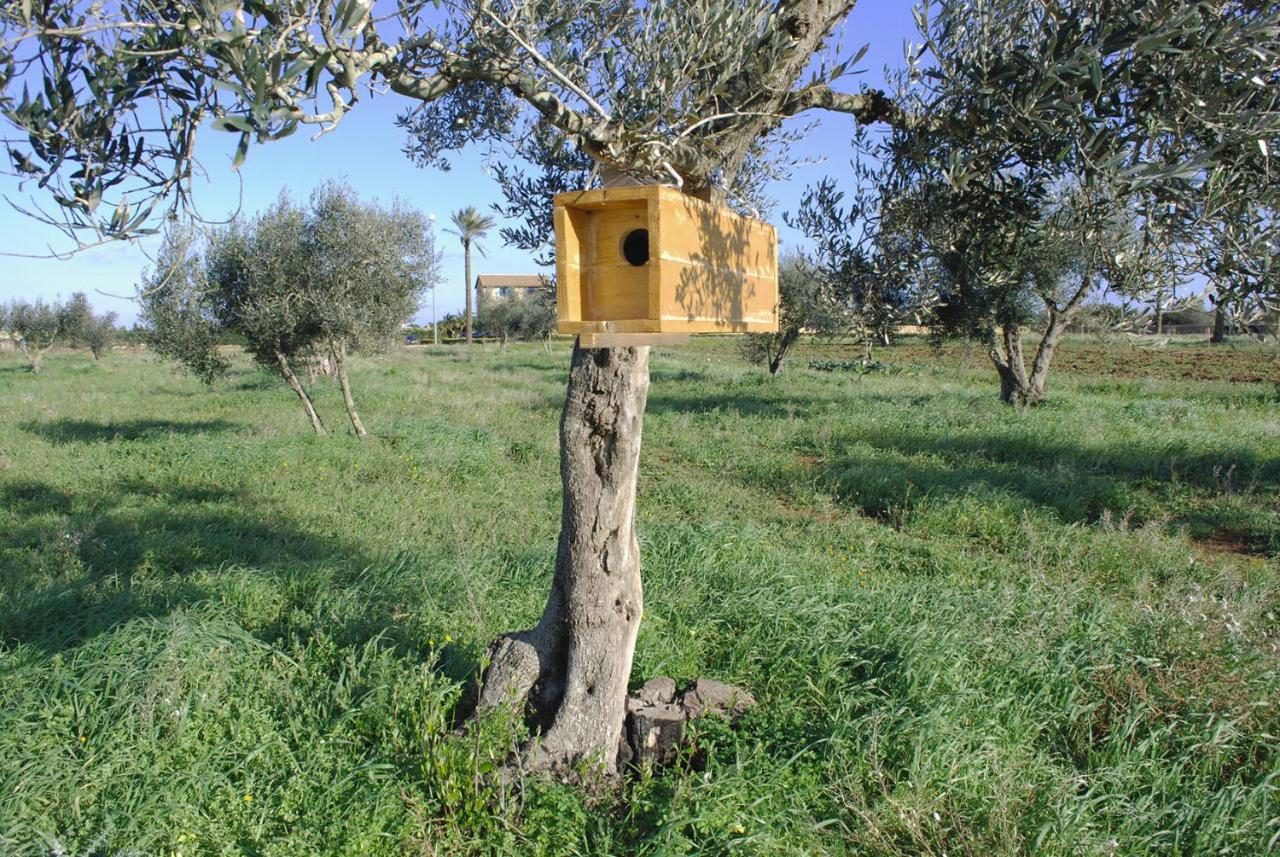 Masseria Galatea Agriturismo Villa Alessano Exterior photo